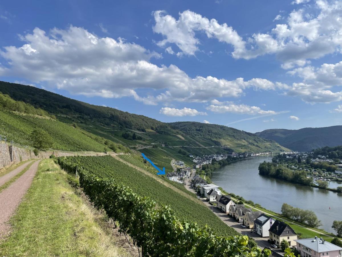 The Vineyard View Apartment Zell an der Mosel Exterior photo